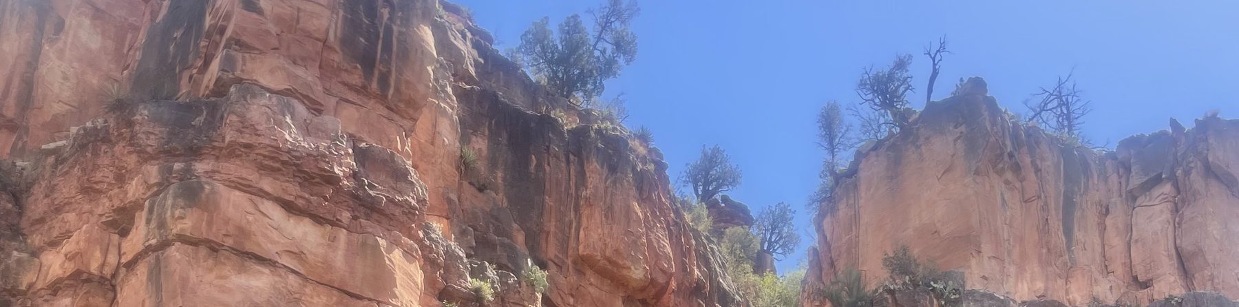 Red rock cliffs above green trees in Sedona
